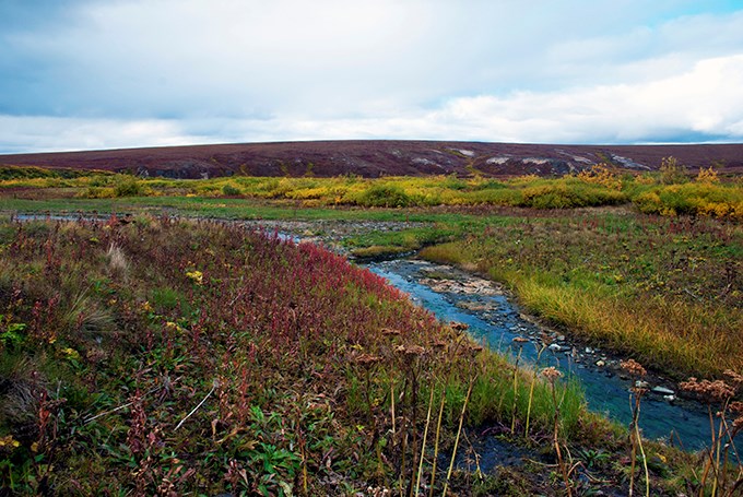 The tundra with fall colors surrounding Arctic Hot Springs.